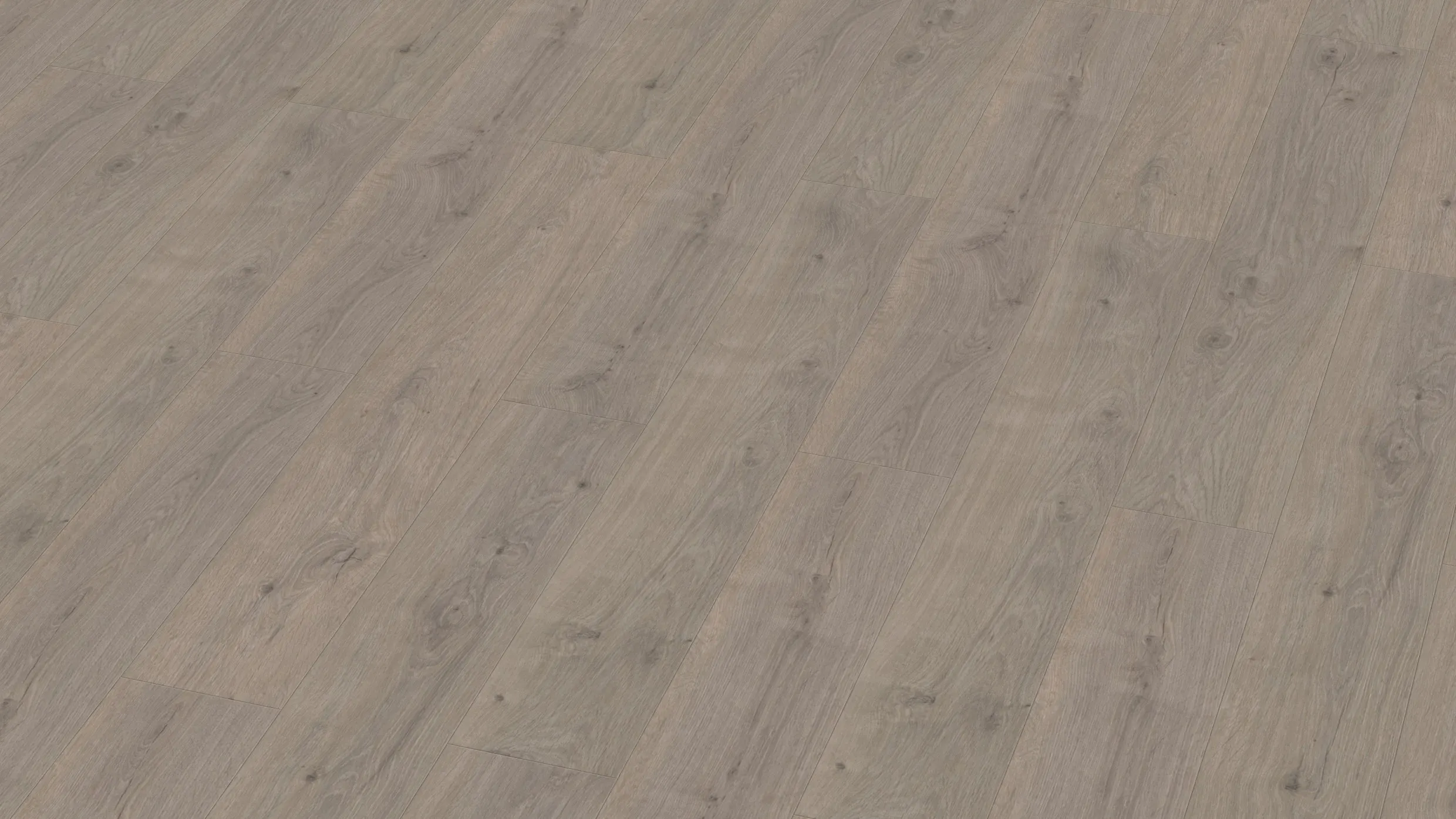 Laminat BoDomo Klassik Tajo Eiche Grau Produktbild Musterfl&auml;che von oben grade zoom