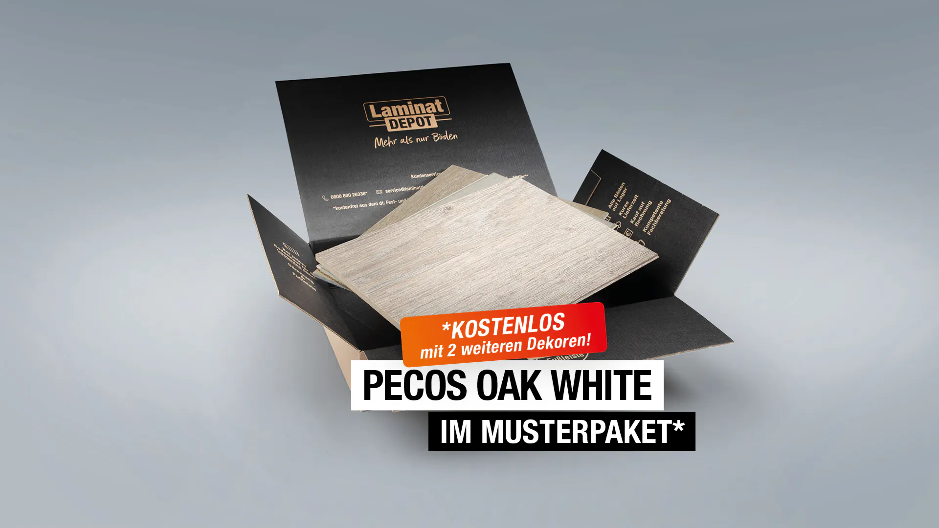 Laminat BoDomo Klassik Pecos Oak white Produktbild Musterfl&auml;che von oben grade zoom