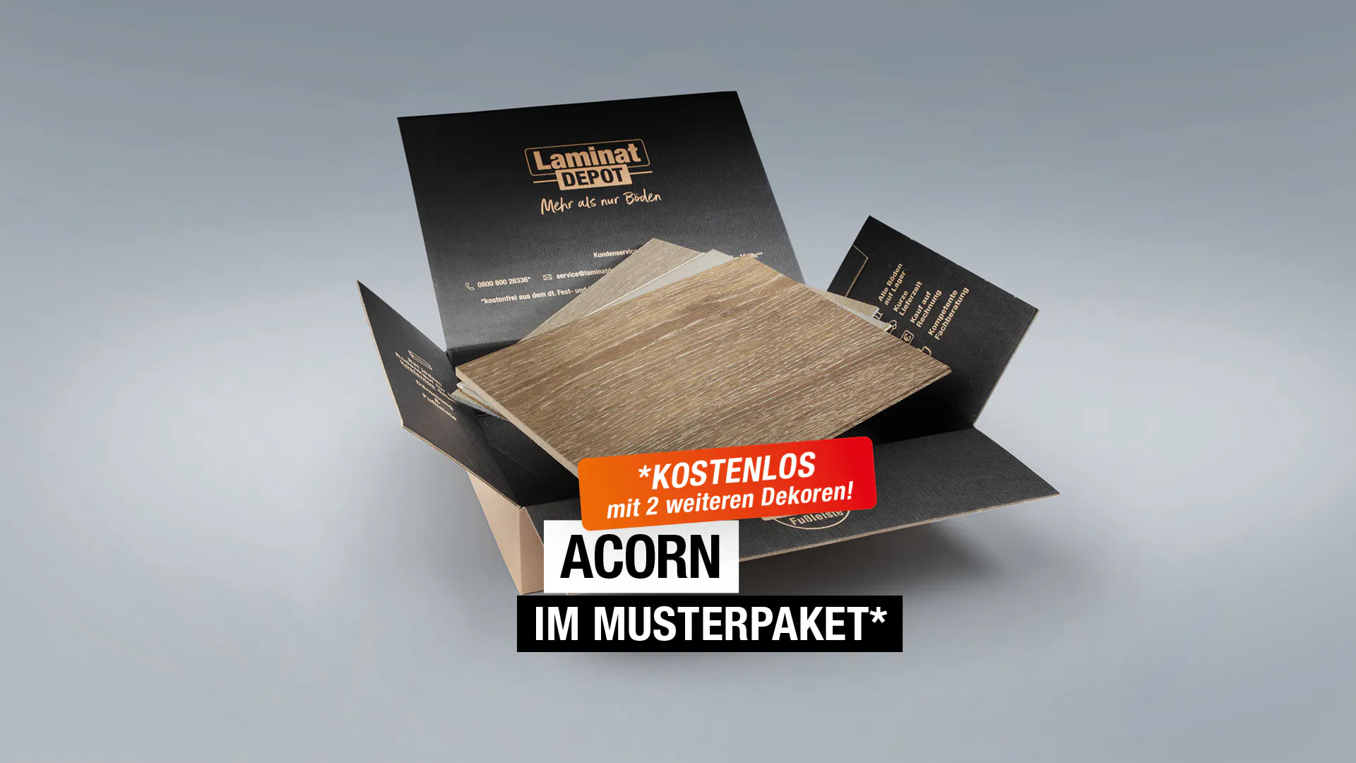Acorn Produktbild Musterfl&auml;che von oben grade zoom