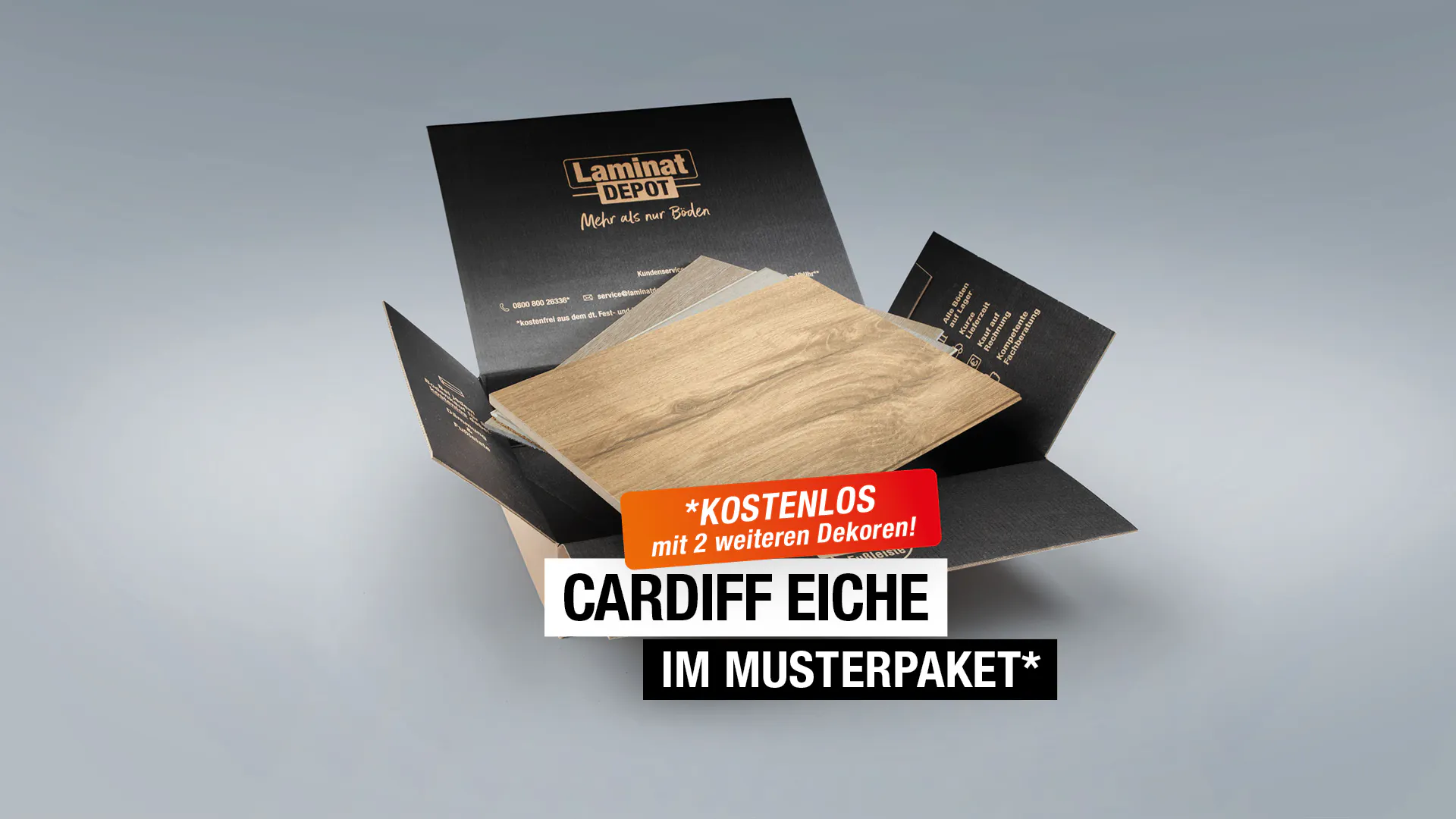 Laminat BoDomo Exquisit Cardiff Eiche Produktbild Musterfl&auml;che von oben grade zoom
