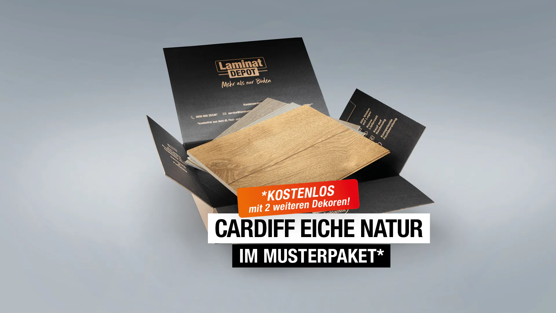 Laminat BoDomo Exquisit Cardiff Eiche natur Produktbild Musterfl&auml;che von oben grade zoom
